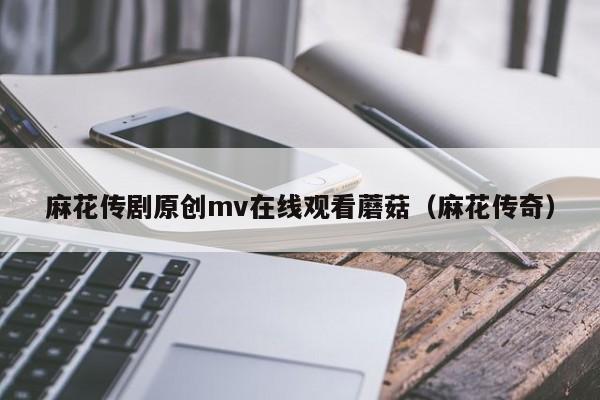 麻花传剧原创mv在线观看蘑菇(麻花传奇)