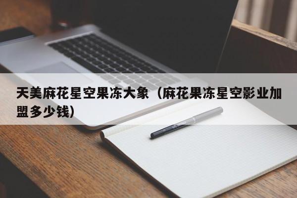 天美麻花星空果冻大象(麻花果冻星空影业加盟多少钱)