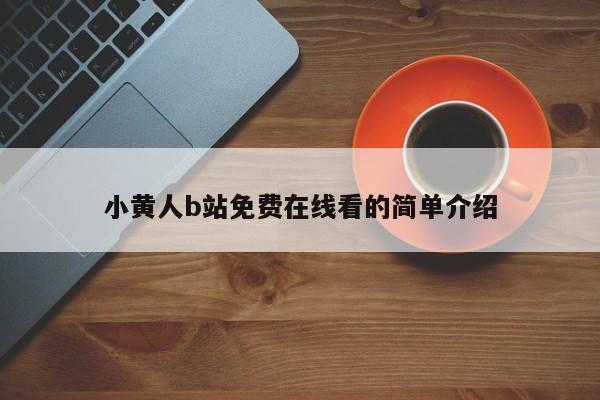 小黄人b站免费在线看的简单介绍